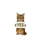 トラ猫（とらねこ / Tora-neko）（個別スタンプ：21）