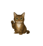 トラ猫（とらねこ / Tora-neko）（個別スタンプ：32）