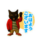 ほうせんか猫の部屋 普段使えるスタンプ（個別スタンプ：1）
