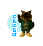 ほうせんか猫の部屋 普段使えるスタンプ（個別スタンプ：2）
