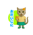ほうせんか猫の部屋 普段使えるスタンプ（個別スタンプ：6）