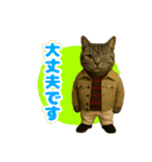 ほうせんか猫の部屋 普段使えるスタンプ（個別スタンプ：8）