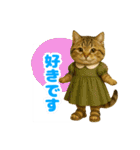 ほうせんか猫の部屋 普段使えるスタンプ（個別スタンプ：9）