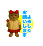 ほうせんか猫の部屋 普段使えるスタンプ（個別スタンプ：11）