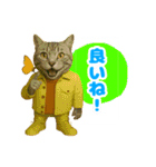 ほうせんか猫の部屋 普段使えるスタンプ（個別スタンプ：13）