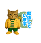 ほうせんか猫の部屋 普段使えるスタンプ（個別スタンプ：14）
