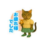 ほうせんか猫の部屋 普段使えるスタンプ（個別スタンプ：16）