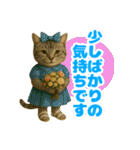 ほうせんか猫の部屋 普段使えるスタンプ（個別スタンプ：19）