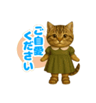 ほうせんか猫の部屋 普段使えるスタンプ（個別スタンプ：20）