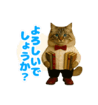 ほうせんか猫の部屋 普段使えるスタンプ（個別スタンプ：24）