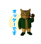 ほうせんか猫の部屋 普段使えるスタンプ（個別スタンプ：25）