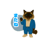 ほうせんか猫の部屋 普段使えるスタンプ（個別スタンプ：29）