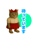 ほうせんか猫の部屋 普段使えるスタンプ（個別スタンプ：31）