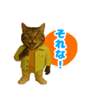 ほうせんか猫の部屋 普段使えるスタンプ（個別スタンプ：33）