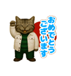 ほうせんか猫の部屋 普段使えるスタンプ（個別スタンプ：34）