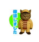 ほうせんか猫の部屋 普段使えるスタンプ（個別スタンプ：35）