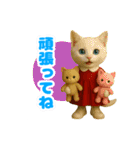 ほうせんか猫の部屋 普段使えるスタンプ（個別スタンプ：36）