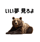 熊がイカすセリフで盛り上げる（個別スタンプ：12）