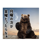 熊がイカすセリフで盛り上げる（個別スタンプ：36）