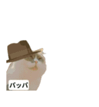 猫ミームで会話⭐作成セット⭐アレンジ推奨⭐（個別スタンプ：6）