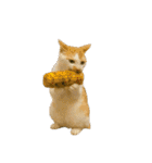 猫ミームで会話⭐作成セット⭐アレンジ推奨⭐（個別スタンプ：10）