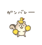連絡用❤️リスのしましま（個別スタンプ：13）