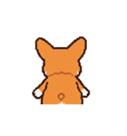 動く！コーギーのスタンプ！（個別スタンプ：3）