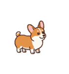 動く！コーギーのスタンプ！（個別スタンプ：4）