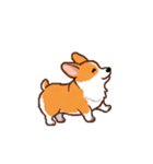 動く！コーギーのスタンプ！（個別スタンプ：9）