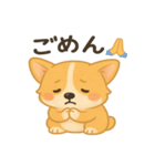 ゆるふわコーギー☆かわいい日常スタンプ（個別スタンプ：5）