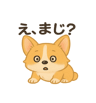 ゆるふわコーギー☆かわいい日常スタンプ（個別スタンプ：9）