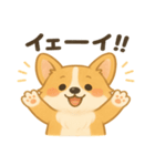 ゆるふわコーギー☆かわいい日常スタンプ（個別スタンプ：16）