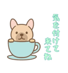 [気を付けて来てね専用]カップから犬（個別スタンプ：1）