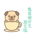[気を付けて来てね専用]カップから犬（個別スタンプ：2）