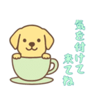 [気を付けて来てね専用]カップから犬（個別スタンプ：4）