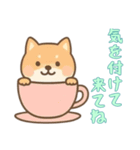 [気を付けて来てね専用]カップから犬（個別スタンプ：5）