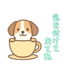 [気を付けて来てね専用]カップから犬（個別スタンプ：6）