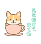 [気を付けて来てね専用]カップから犬（個別スタンプ：8）