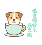 [気を付けて来てね専用]カップから犬（個別スタンプ：9）