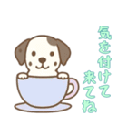 [気を付けて来てね専用]カップから犬（個別スタンプ：10）