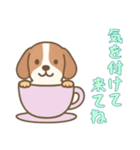 [気を付けて来てね専用]カップから犬（個別スタンプ：11）
