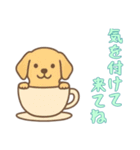 [気を付けて来てね専用]カップから犬（個別スタンプ：13）
