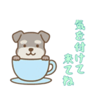 [気を付けて来てね専用]カップから犬（個別スタンプ：14）