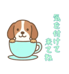 [気を付けて来てね専用]カップから犬（個別スタンプ：15）