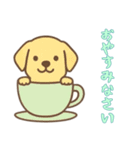 [おやすみなさい専用]カップから犬（個別スタンプ：2）