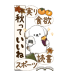 【Big】犬さん『秋』2025（個別スタンプ：17）