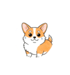 動く！コーギー2（個別スタンプ：7）