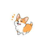 動く！コーギー2（個別スタンプ：8）