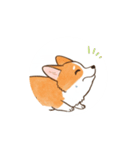 動く！コーギー2（個別スタンプ：10）