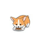 動く！コーギー2（個別スタンプ：14）
